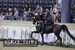 25R13_12183 thumbnail