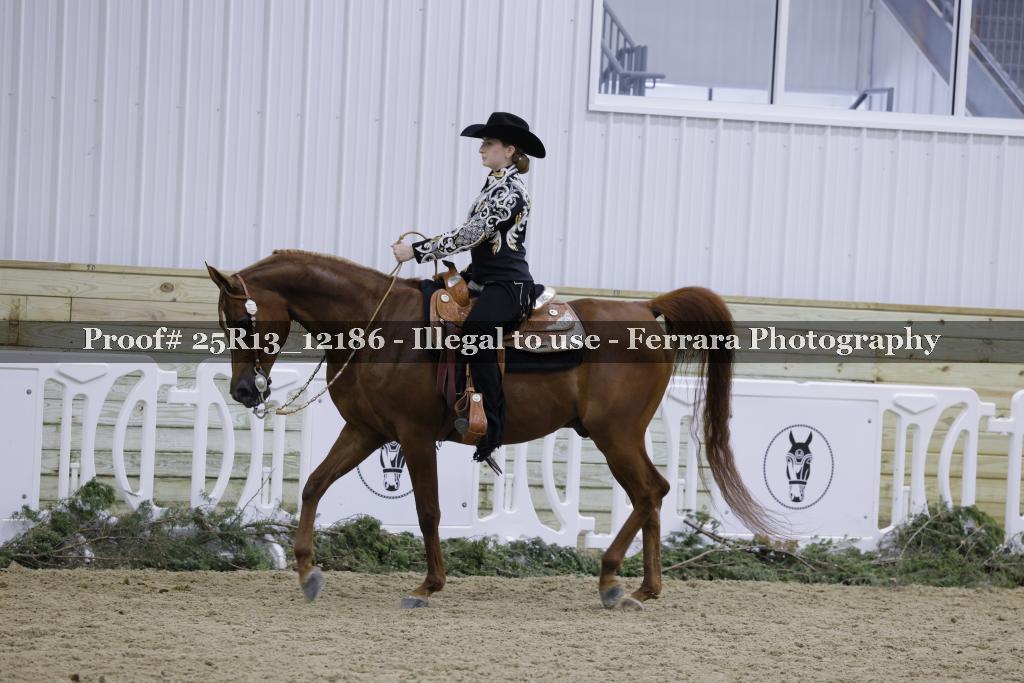 Proof Number 25R13_12186