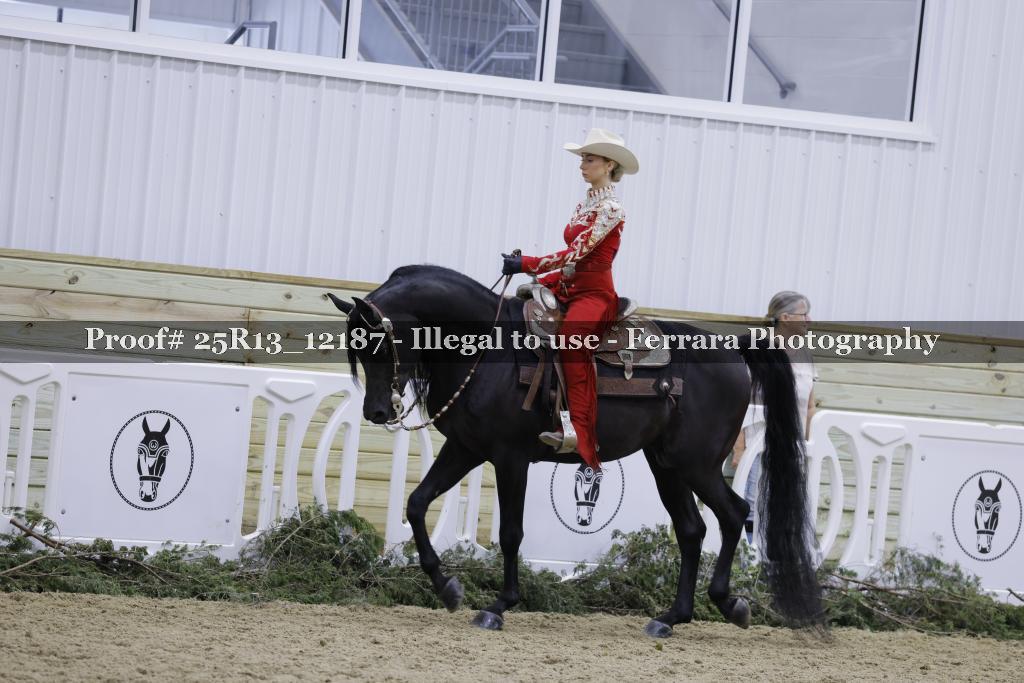 Proof Number 25R13_12187