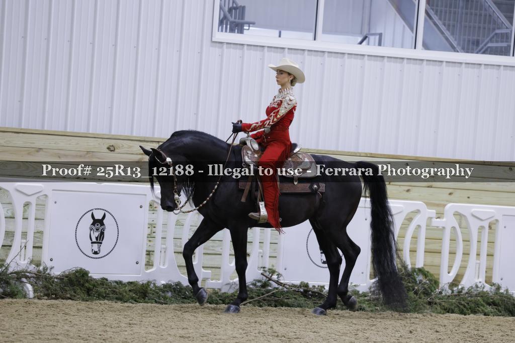 Proof Number 25R13_12188
