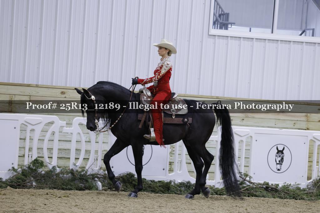 Proof Number 25R13_12189