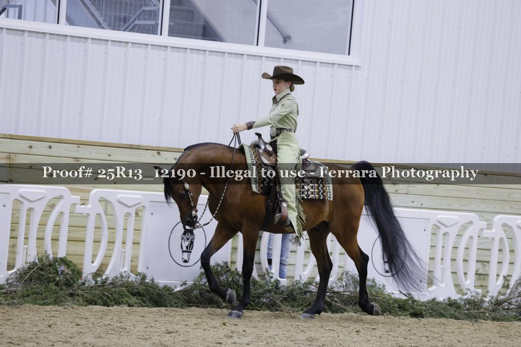 Proof Number 25R13_12190