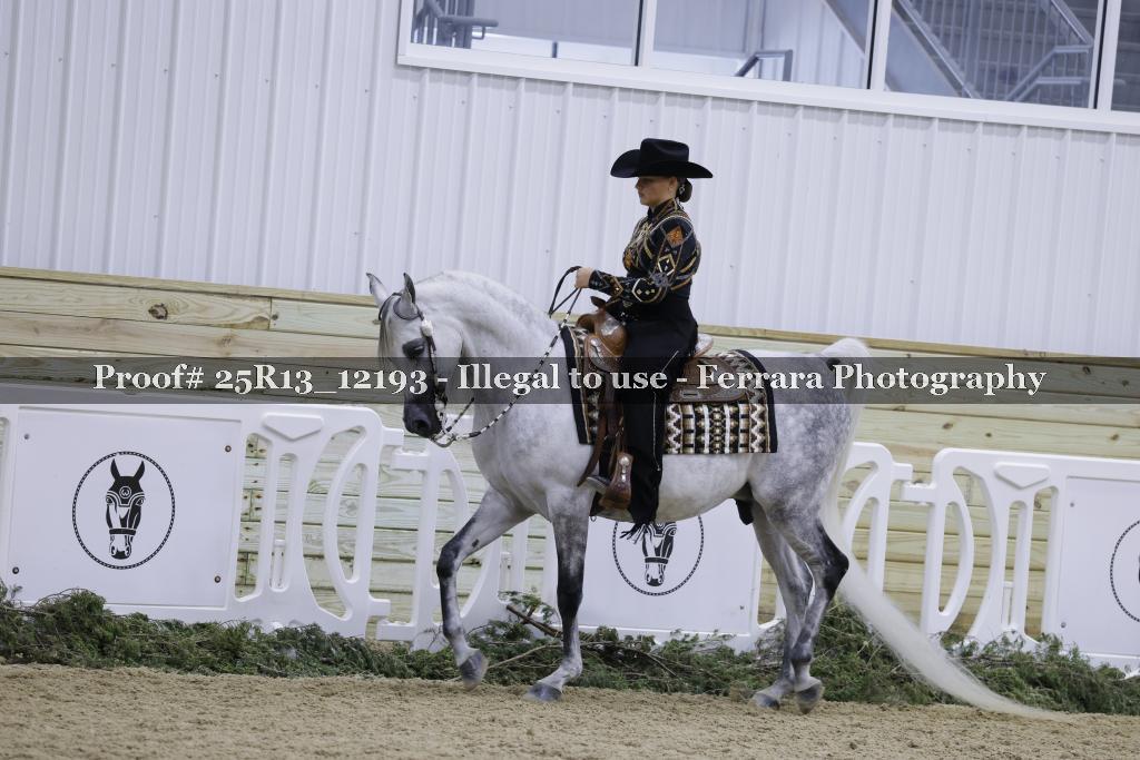Proof Number 25R13_12193