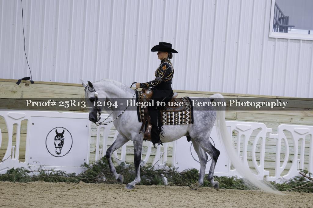 Proof Number 25R13_12194