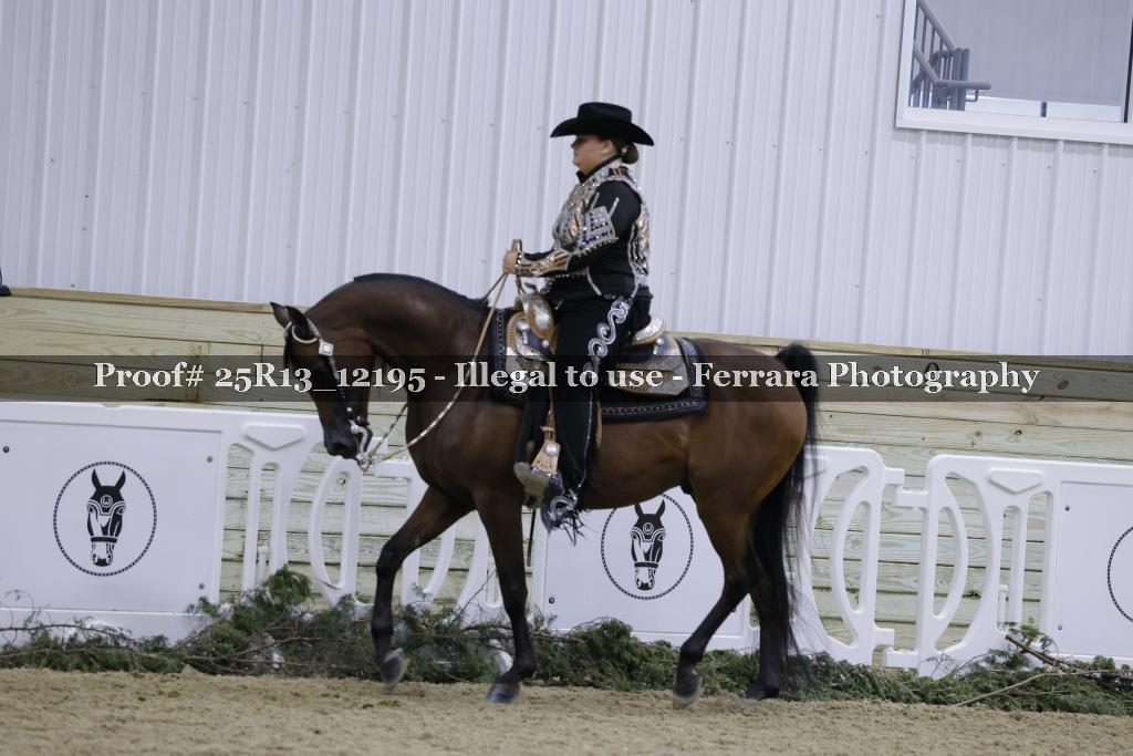 Proof Number 25R13_12195