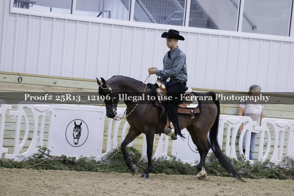 Proof Number 25R13_12196
