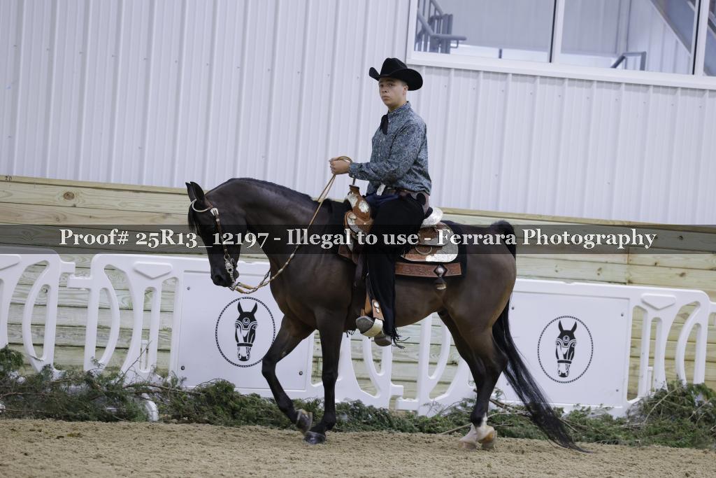 Proof Number 25R13_12197