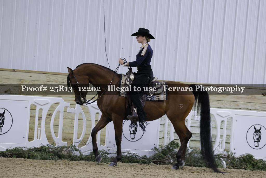 Proof Number 25R13_12202