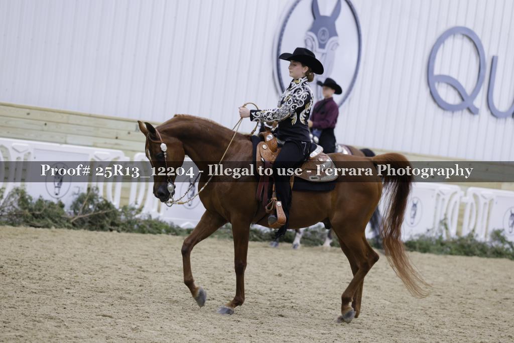 Proof Number 25R13_12204