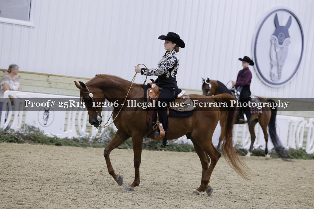 Proof Number 25R13_12206