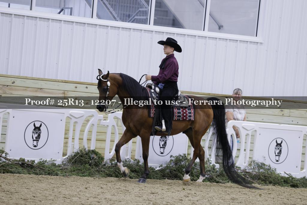Proof Number 25R13_12207