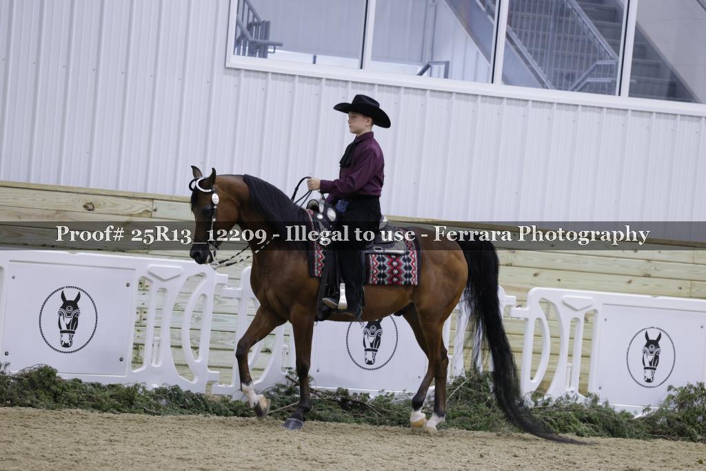 Proof Number 25R13_12209