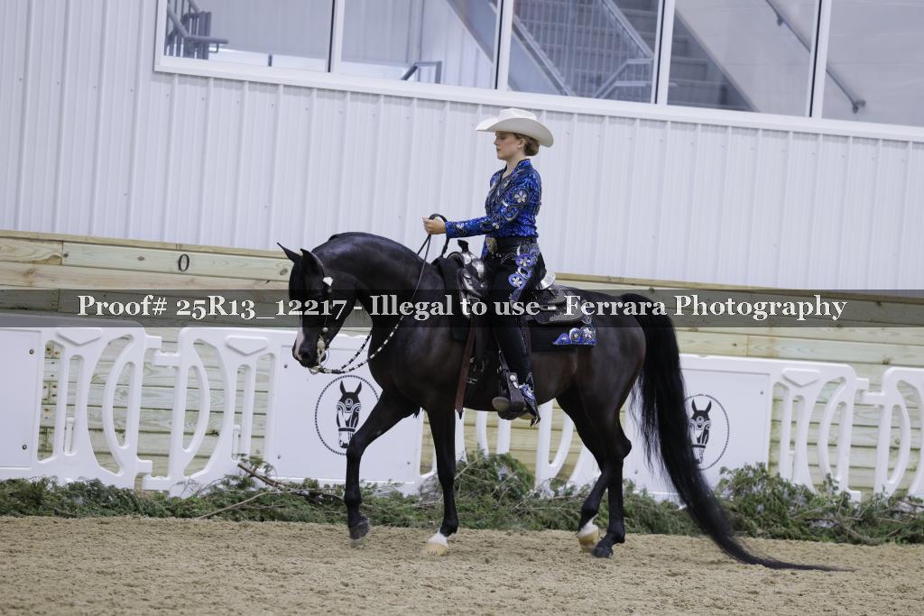 Proof Number 25R13_12217