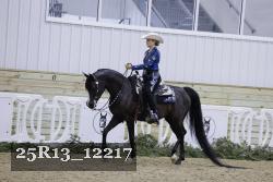 25R13_12217 thumbnail