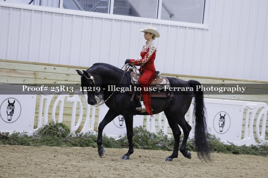 Proof Number 25R13_12219