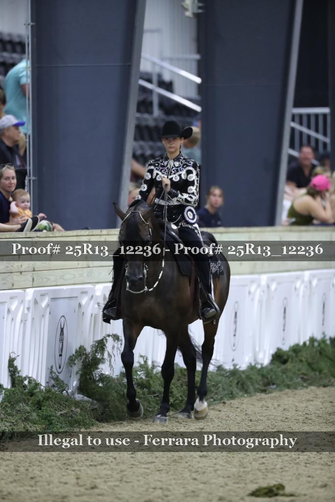 Proof Number 25R13_12236