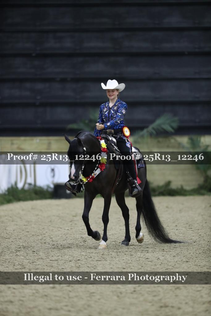 Proof Number 25R13_12246