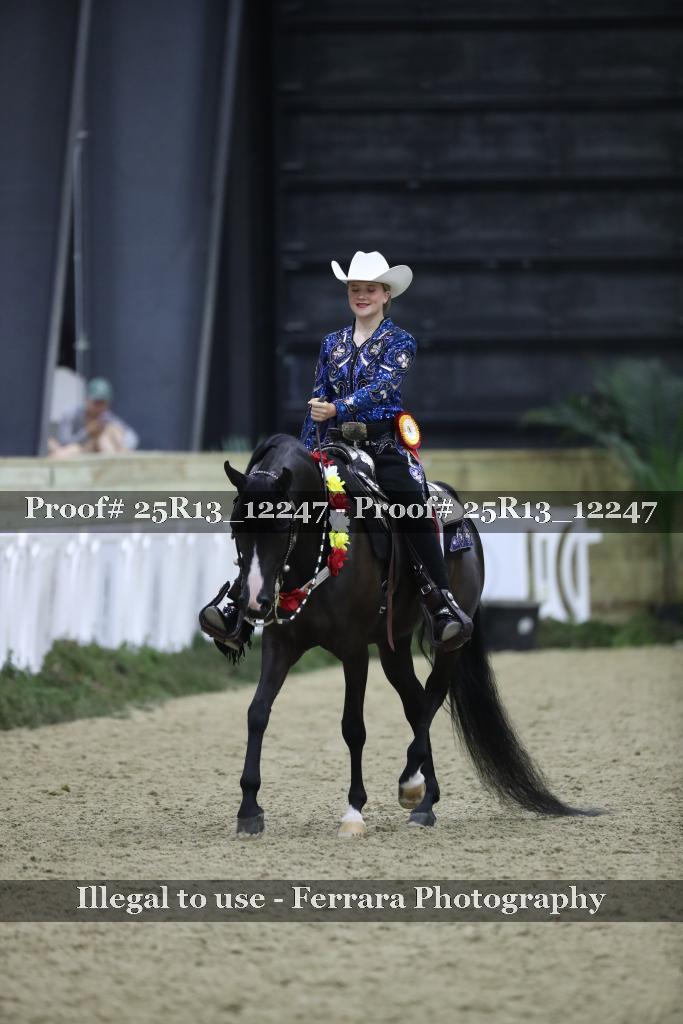 Proof Number 25R13_12247