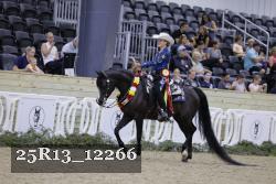 25R13_12266 thumbnail