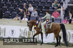 25R13_12281 thumbnail