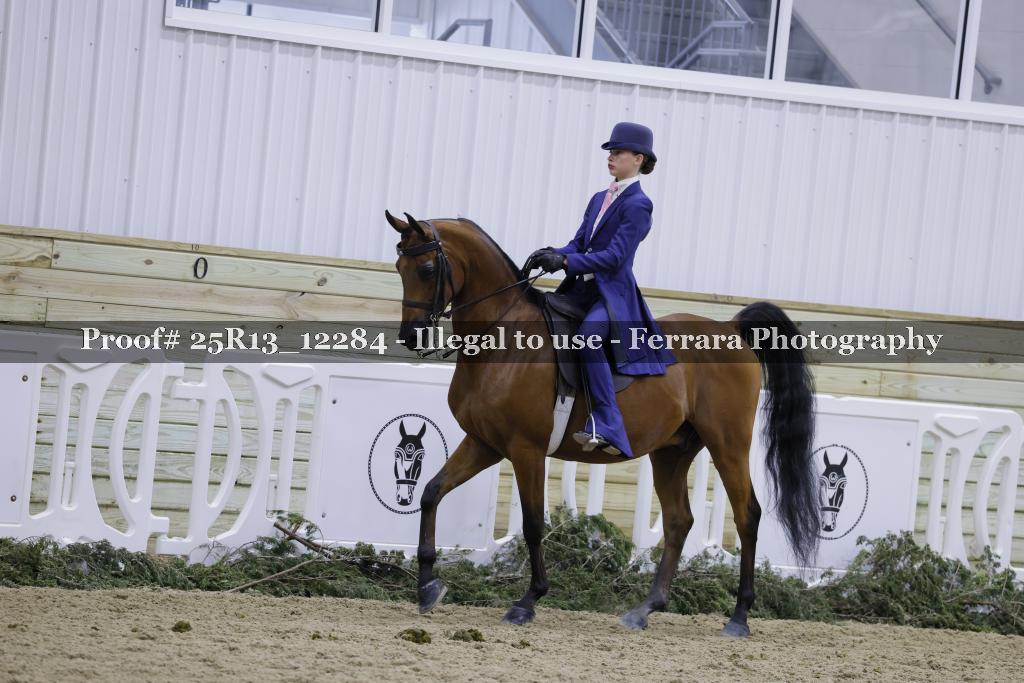 Proof Number 25R13_12284