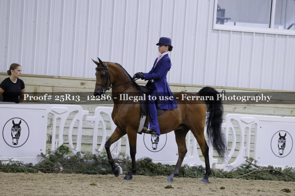 Proof Number 25R13_12286