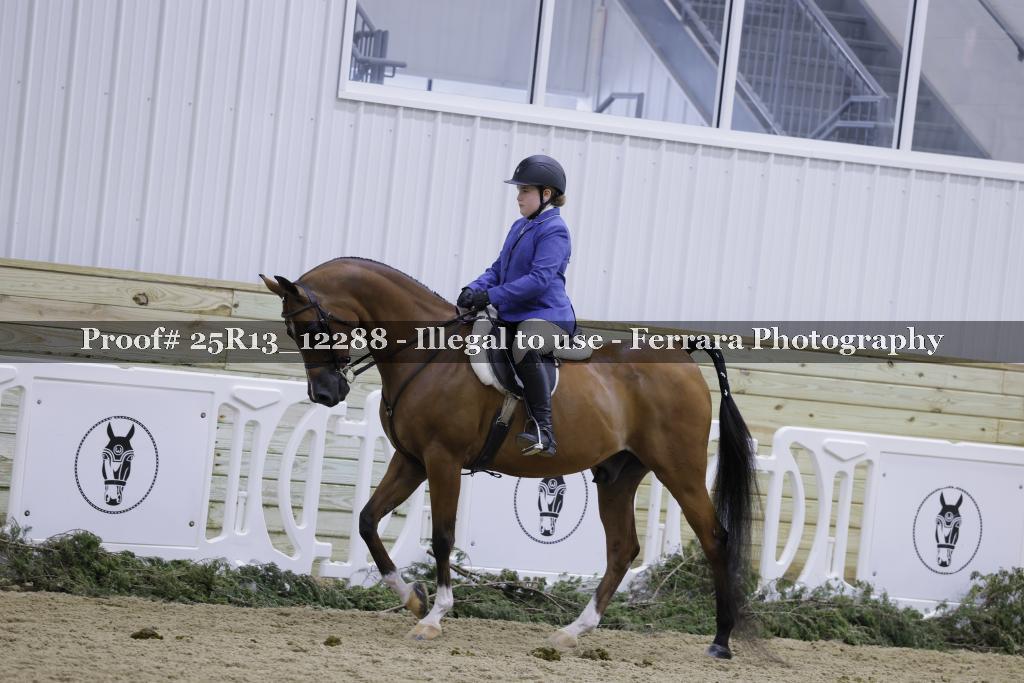 Proof Number 25R13_12288