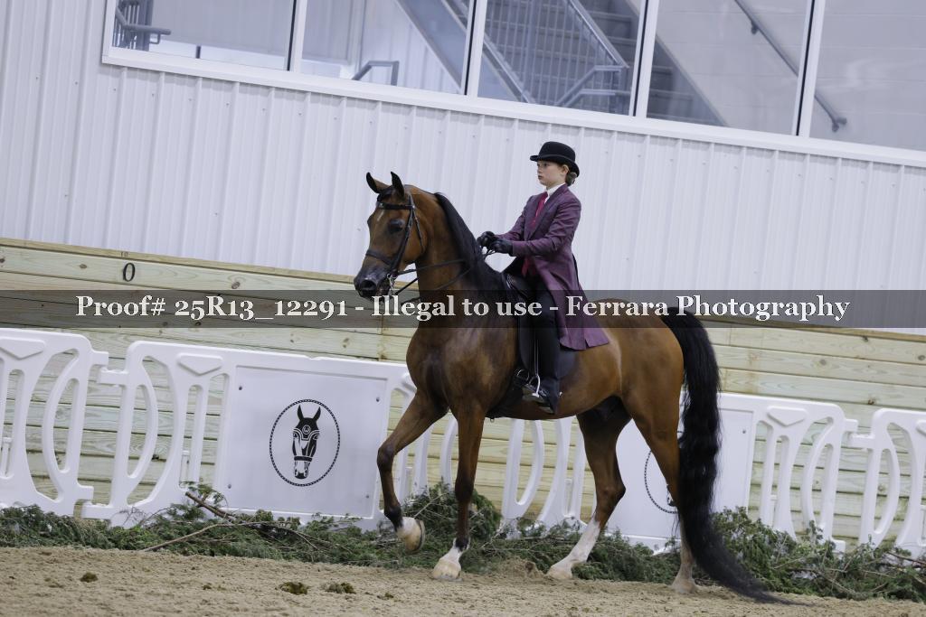 Proof Number 25R13_12291