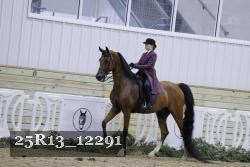 25R13_12291 thumbnail