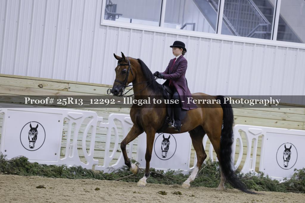 Proof Number 25R13_12292