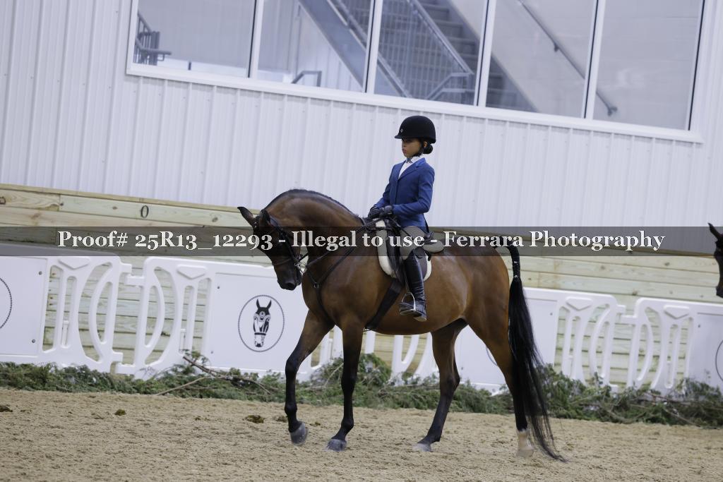 Proof Number 25R13_12293