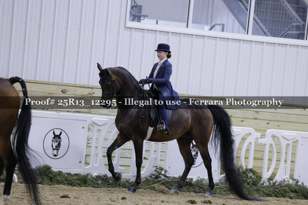 Proof Number 25R13_12295