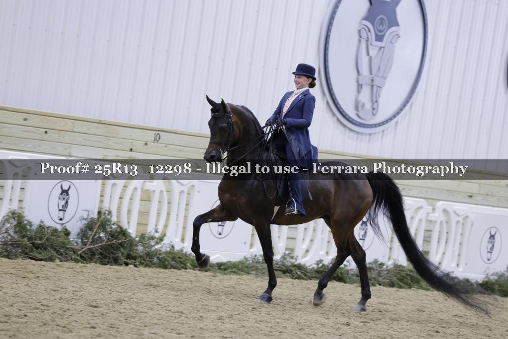 Proof Number 25R13_12298