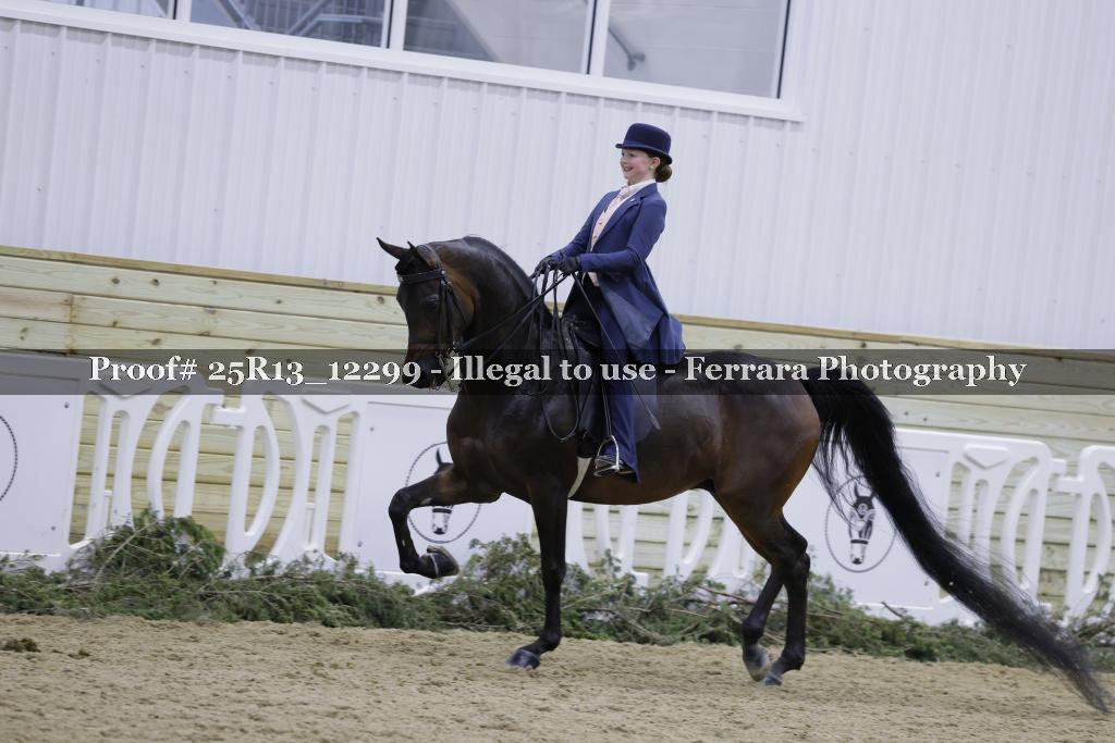 Proof Number 25R13_12299