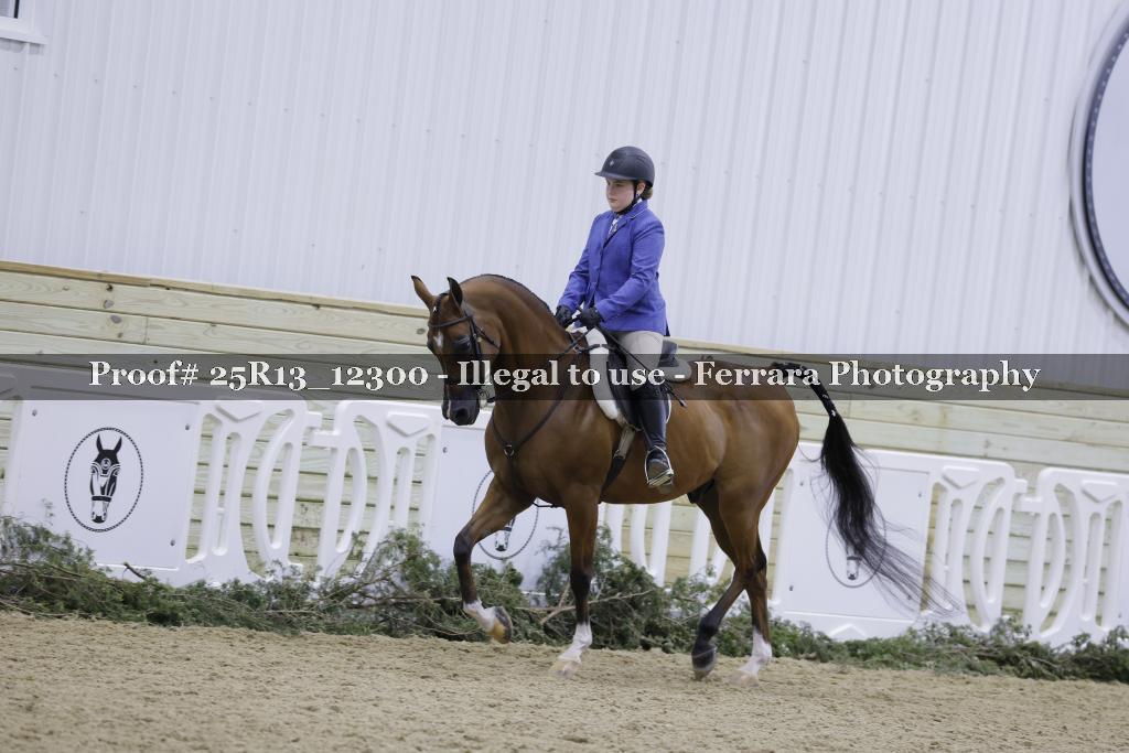 Proof Number 25R13_12300