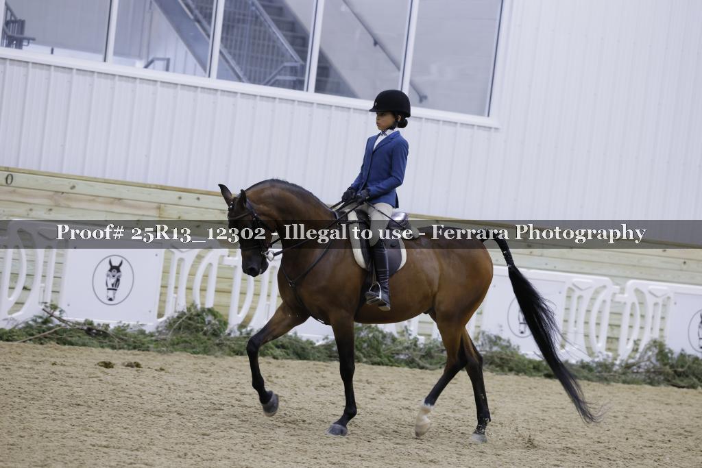 Proof Number 25R13_12302