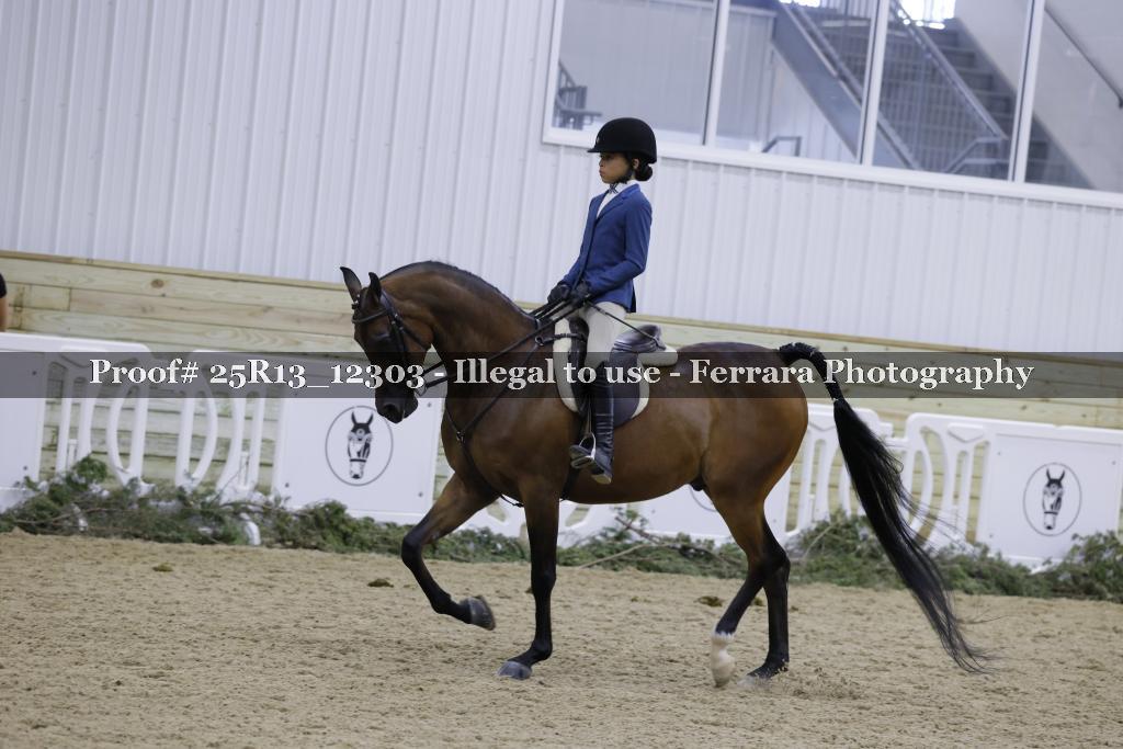 Proof Number 25R13_12303
