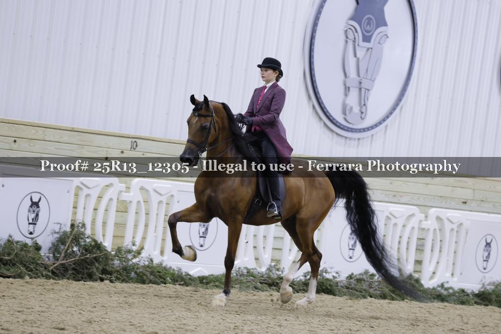 Proof Number 25R13_12305