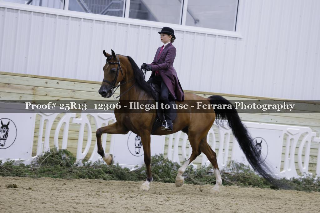 Proof Number 25R13_12306