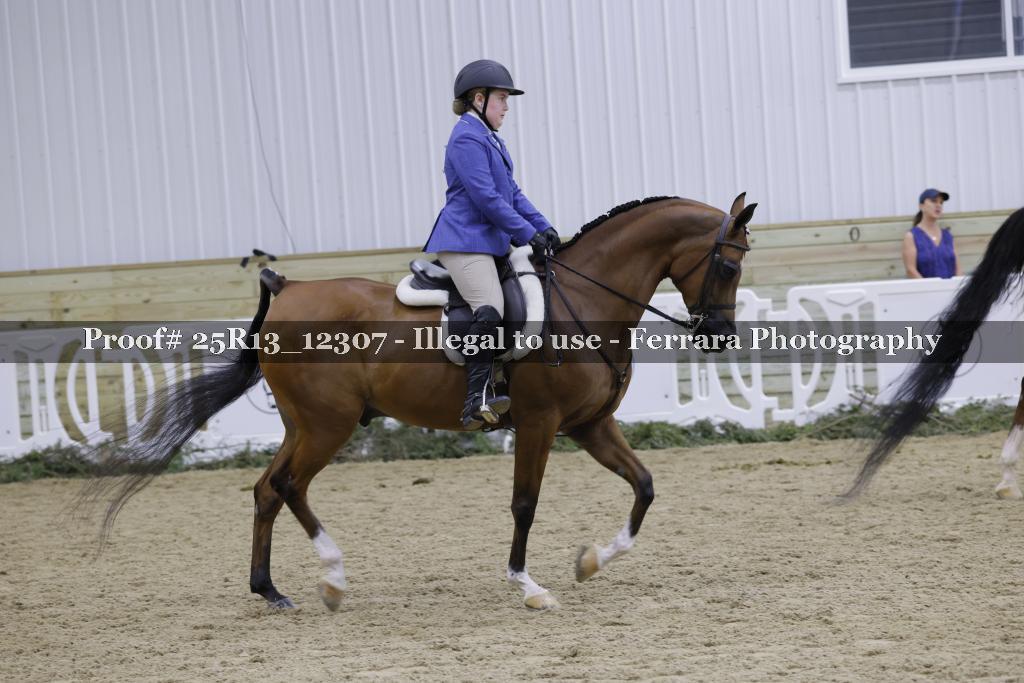 Proof Number 25R13_12307