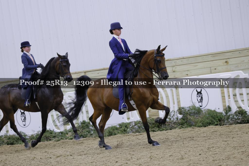 Proof Number 25R13_12309