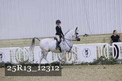 25R13_12312 thumbnail