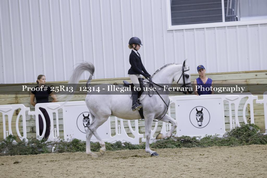 Proof Number 25R13_12314