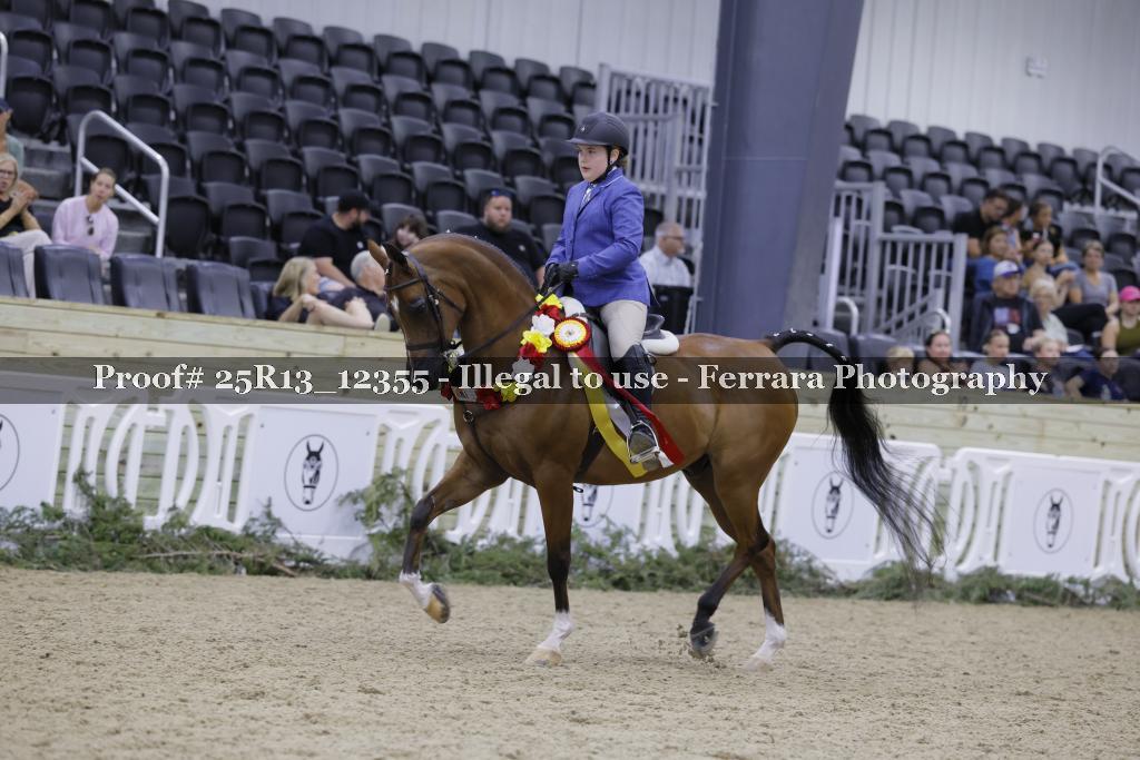 Proof Number 25R13_12355