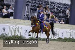 25R13_12366 thumbnail
