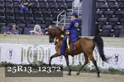 25R13_12372 thumbnail