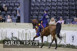 25R13_12373 thumbnail
