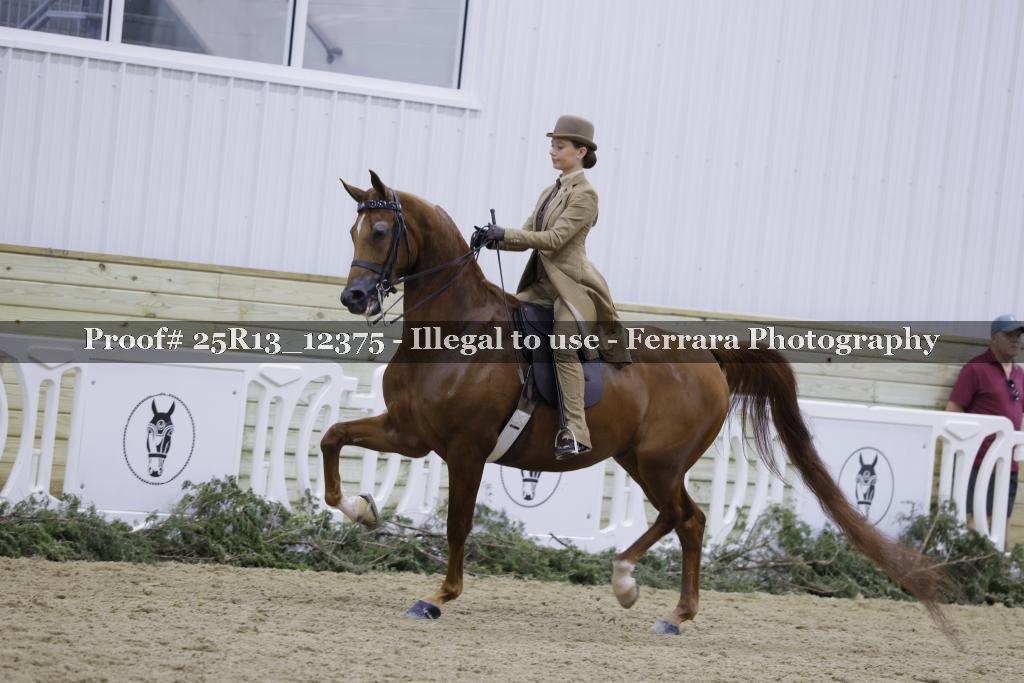 Proof Number 25R13_12375