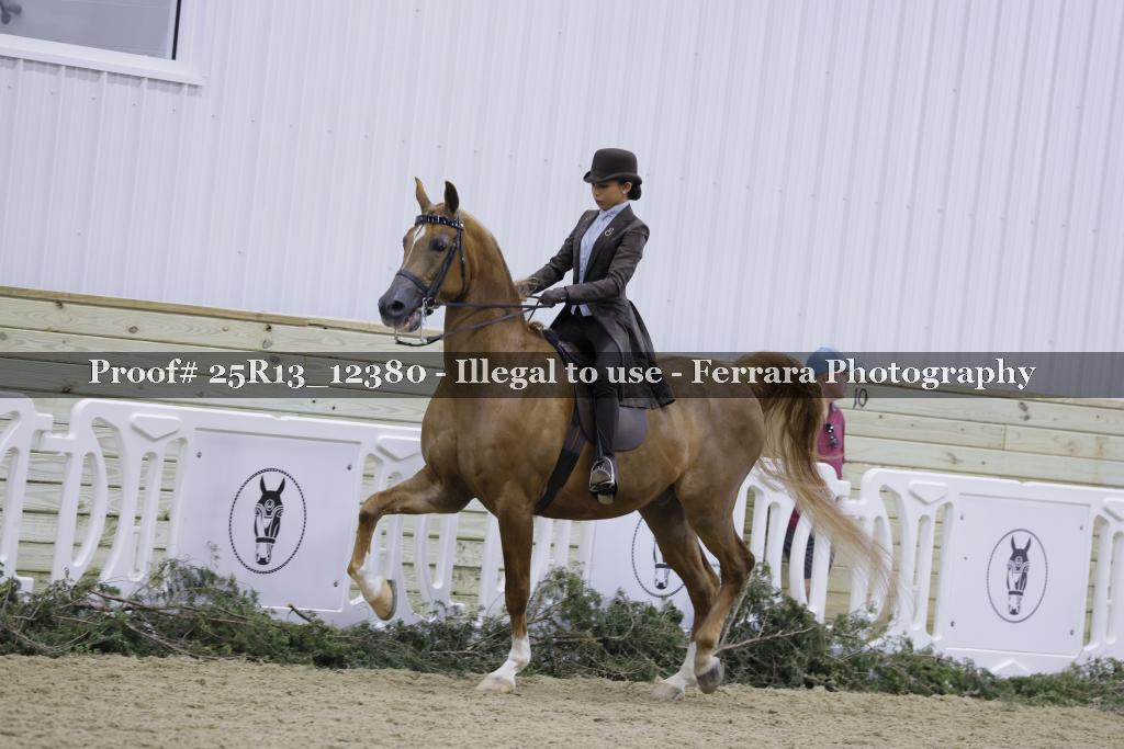 Proof Number 25R13_12380