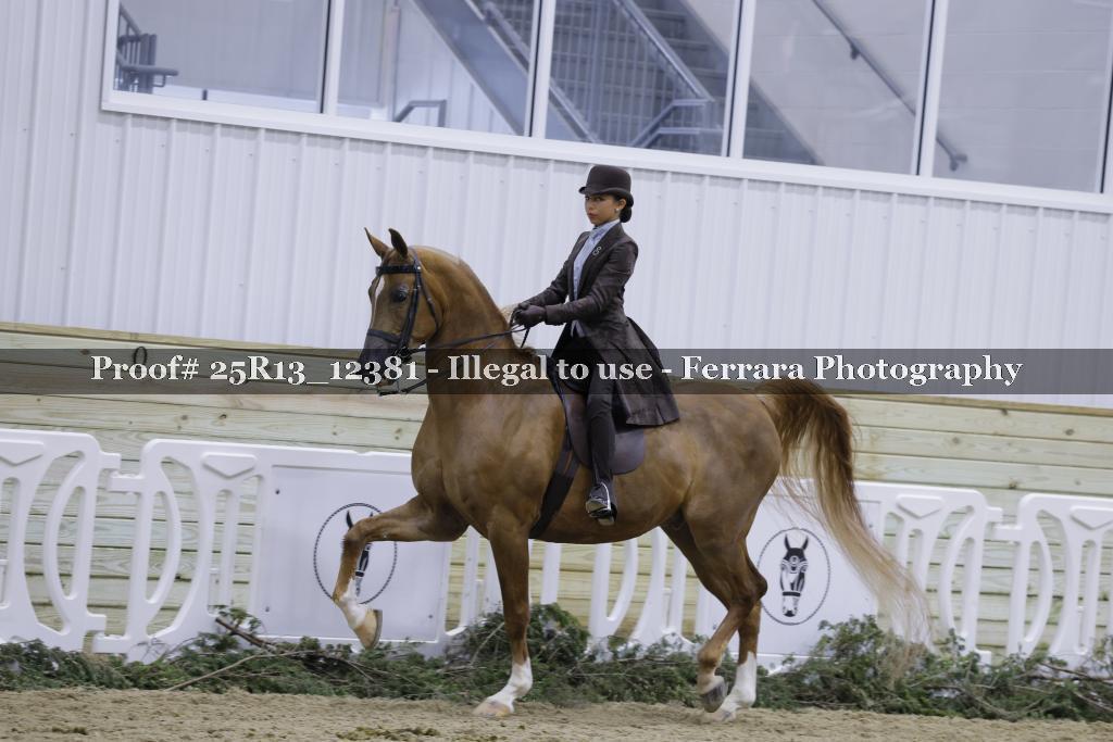 Proof Number 25R13_12381